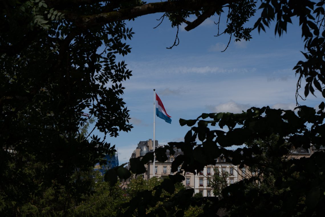 Die Flagge Luxemburgs weht vor einem blauen Himmel. Im Hintergrund sieht man ein Gebäude. Den Rahmen für die Flagge bilden ein paar Blätter und ein Baum.