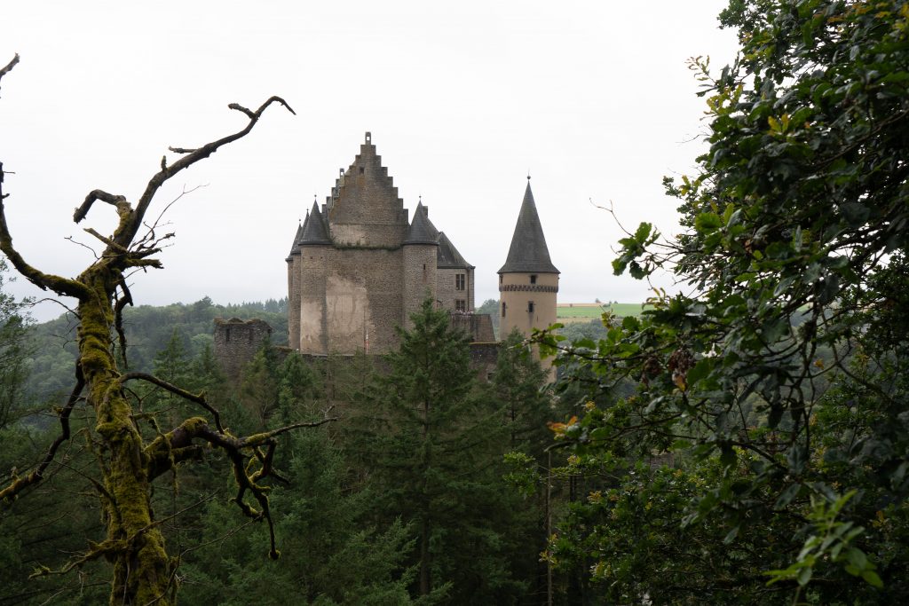 Ein Bild von einem Schloss bei diesigem Wetter. Im Vordergrund sind Bäume. Ein kahler Ast ragt ins Bild.